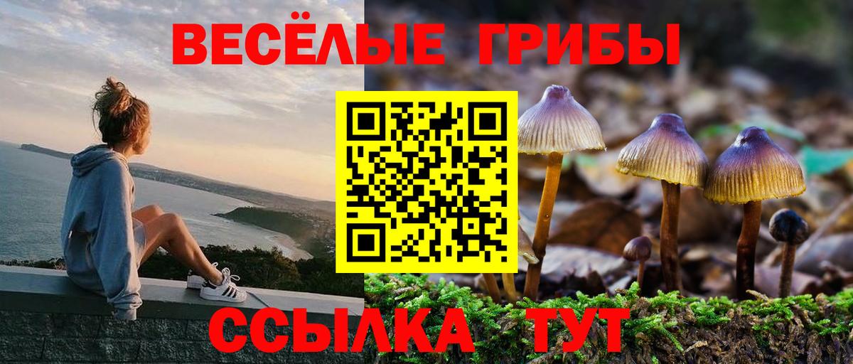 Псилоцибиновые грибы GOLDEN TEACHER Салехард