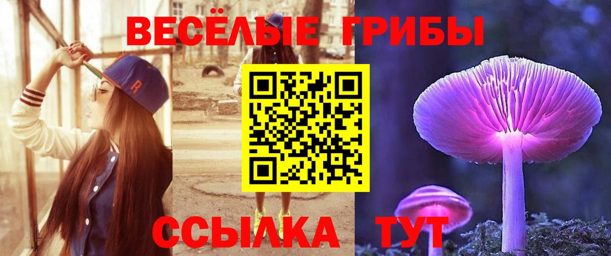Салехард  Галлюциногенные грибы мицелий  Вход с VPN 