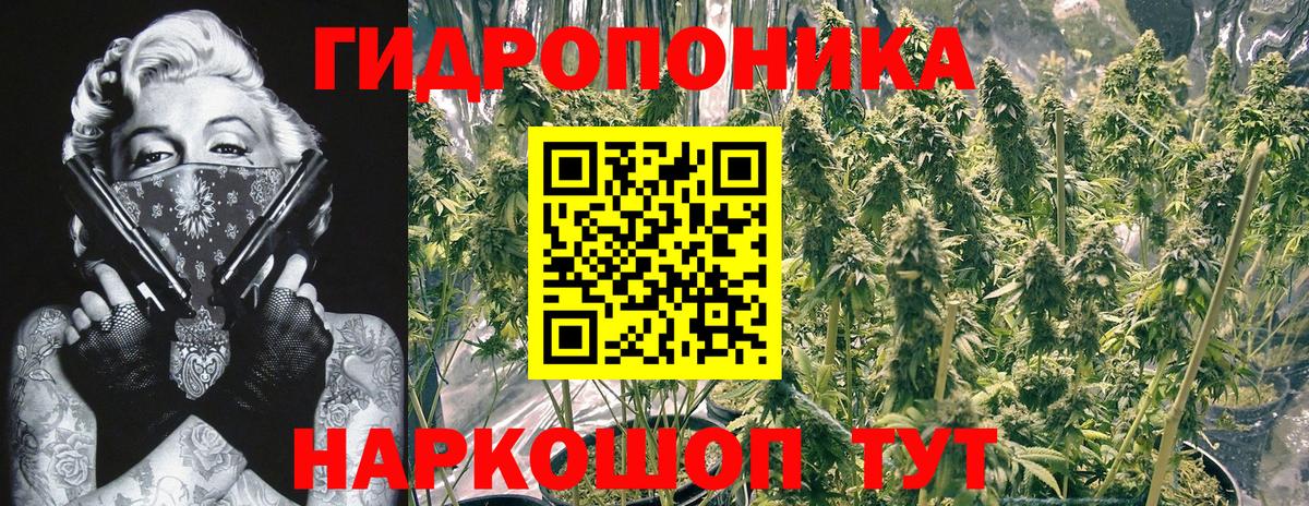 Каннабис Amnesia  Каннабис план  МАРИХУАНА планчик  Вход с VPN  Марихуана тримм  Салехард 